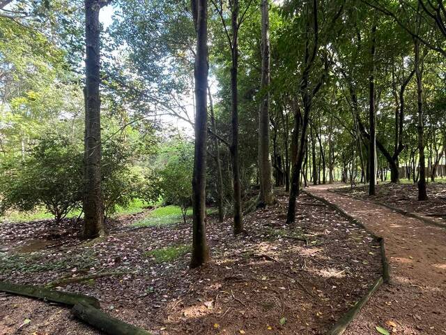 Terreno para Venda em Itupeva - 5