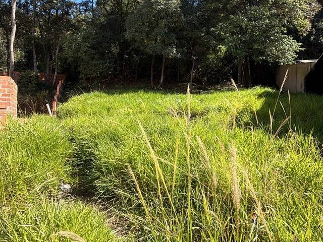 #99 - Área para Venda em Itupeva - SP - 2